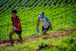 BIB: 1398
                            <button type="button" onclick="openModal(19162281)" class="btn btn-primary btn-sm float-right btn-popup" data-toggle="modal" data-target=".modal-high-quality">
                        <i class="fas fa-shopping-cart"></i> Add to Cart
                    </button>
                                            <button type="button" onclick="isThisMe(19162281, true)" class="btn btn-success btn-sm float-right btn-popup btn-isme hidden" data-toggle="tooltip" data-placement="bottom" title="นี่คือรูปของคุณใช่ไหม คลิกที่นี่เพื่อเอาเข้าอัลบั้ม">
                        <i class="fas fa-plus"></i> Add to album
                    </button>
                    <button type="button" onclick="isThisMe(19162281, false)" class="btn btn-warning btn-sm float-right btn-popup btn-isnotme hidden">
                        <i class="fas fa-ban"></i> Remove from album
                    </button>